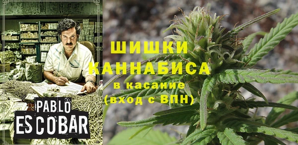 2c-b Кулебаки