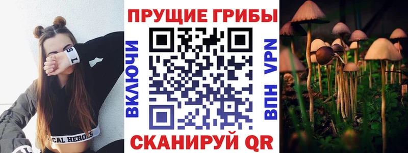 Галлюциногенные грибы Cubensis Электросталь