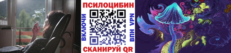 KRAKEN зеркало Электросталь Галлюциногенные грибы Cubensis купить закладку