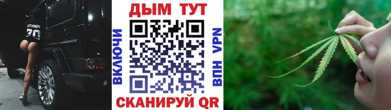 где найти наркотики  Электросталь  Канабис план 